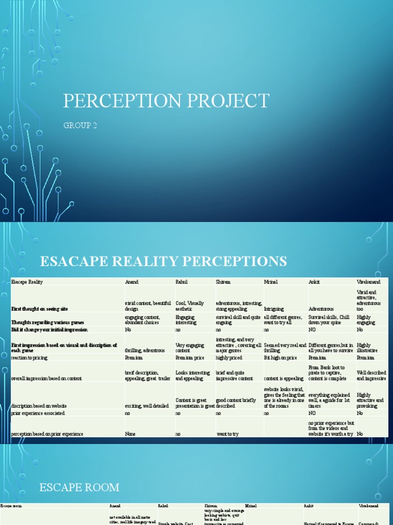 Perception Project | PDF | Pricing