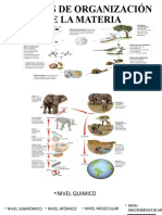 Niveles de Organización de La Materia