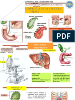 Patologia Vesicula.