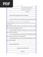 Folha de 25 Linhas Word | PDF