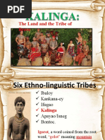 The Land and The Tribe of Brave