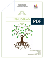 FAMILIOGRAMA - copia