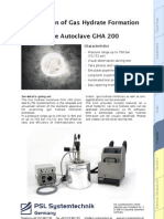 Gas Hydrate Autoclave Datasheet 081208
