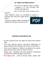 Cell, Tissue, Organ and Organ System