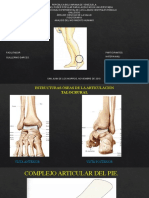 Análisis del movimiento humano de la articulación talocrural