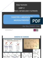 1.b. Power Point Digestión y Absorción de Macronutrientes PDF