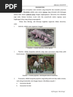 Download TUGAS EKOSISTEM by Mariani Arifianto SN47930837 doc pdf