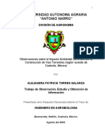 T13902 Torres Galarza, Alejandra Patricia Tesis PDF