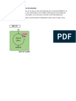 Fotosíntesis, Metabolismo de Azúcares y Estrategias para Producir Tolerancias