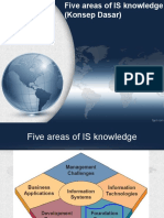 Five Areas of IS Knowledge