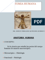 TEORÍA 1 ANATOMÍA HUMANA - GENERALIDADES  UPSJB- Dr. Johnny Fernando Quiñones Jáuregui.pdf