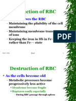 Destruction of RBC: NADPH Serves The RBC