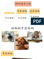 动物的牙齿结构和活动本 PDF