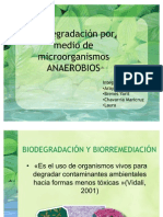 Biodegradacin por medio de microorganismos ANAEROBIOS