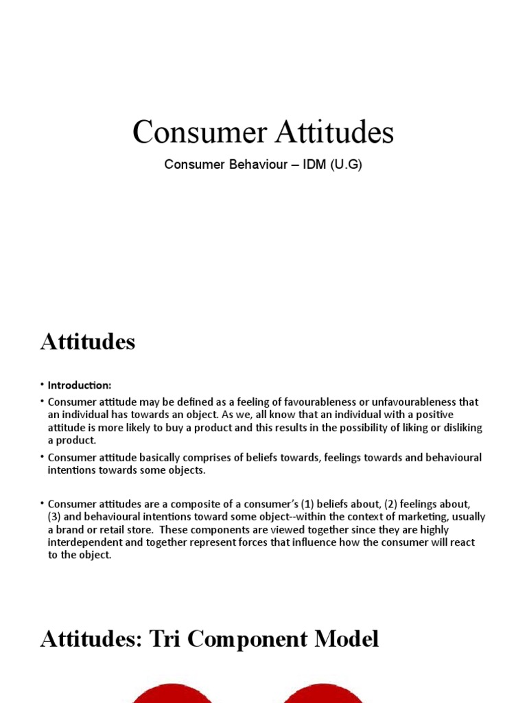 Understanding Consumer Attitudes in Marketing | PDF | Persuasion ...