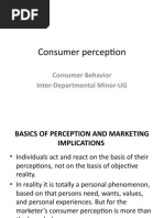 Consumer Perception: Consumer Behavior Inter-Departmental Minor-UG