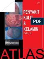 doku.pub_atlas-penyakit-kulit-kelamin-unairpdf.pdf