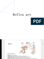 Reflex art-WPS Office