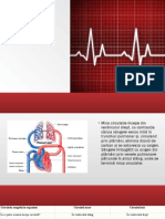 Circulatia Pulmonara