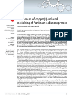 Mechanism of Copper (II) - Induced Misfolding of Parkinson's Disease Protein
