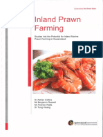 Studies Into The Potential For Inland Marine Prawn Farming in Queensland