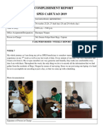 SPES ACCOMPLISHMENT REPORTaaaa PDF