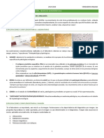 Tema 3. Técnicas Diagnósticas en Urología PDF