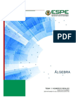 Tema 1 Numeros Reales PDF