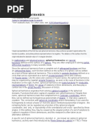 Spherical Harmonics: "Ylm" Redirects Here. For Other Uses, See