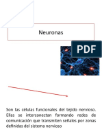 Neuronas