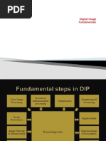 Digital Image Fundamentals