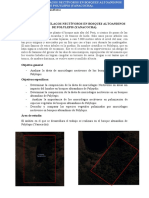 Dieta de Murcielagos Nectívoros en Bosques Altoandinos de Polylepis (Yanacocha)