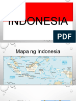 Indonesia PPT Final 1
