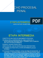 Etapa Intermedia Procesal Penal