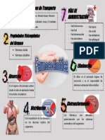 Infografia Farmacocinetica