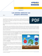 Las Plantas Elaboran Sus Propis Alimentos PDF