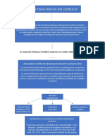 Bases Fisiológicas Del Ejercicio