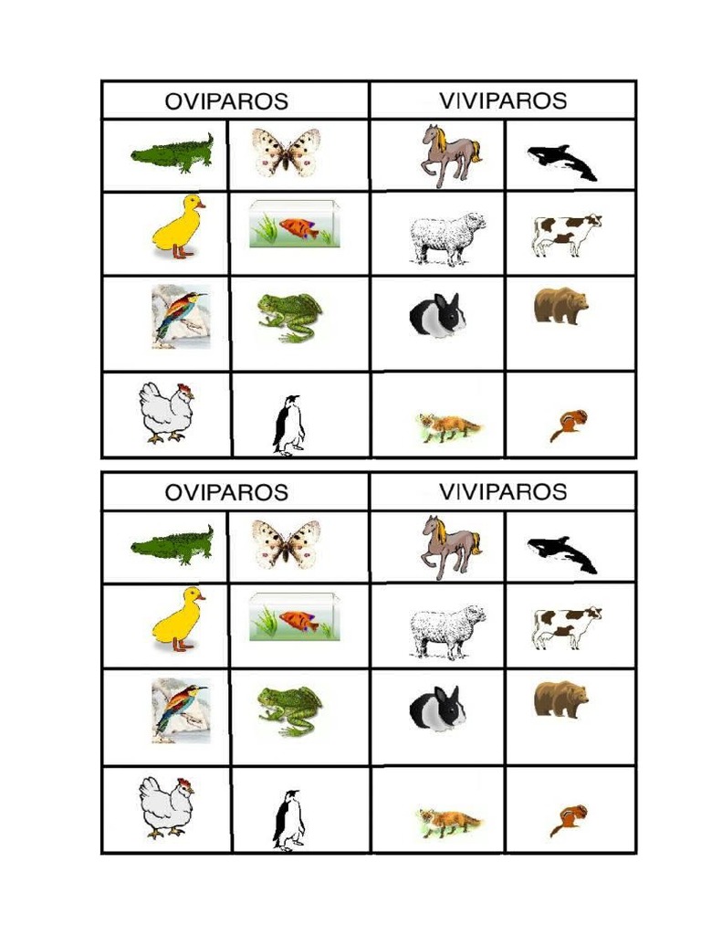 animales-oviparos-y-viviparos-ficha-pdf