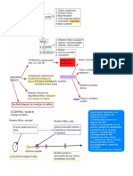 MP Procesal penal.pdf