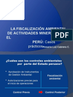 Fiscalización ambiental minera Perú: casos OEFA