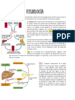 Fisiologia 