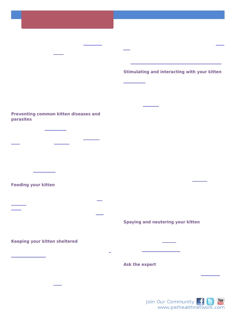 Kitten Care 101: New-Cat Checklists | PDF | Kitten | Cats