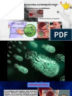 Helicobacter Pylori