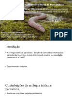 Amphisbaenia Vermiculares Apresentação1
