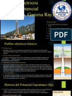 Perfiles Eléctricos Básicos (Potencial Espontaneo, Gamma 1