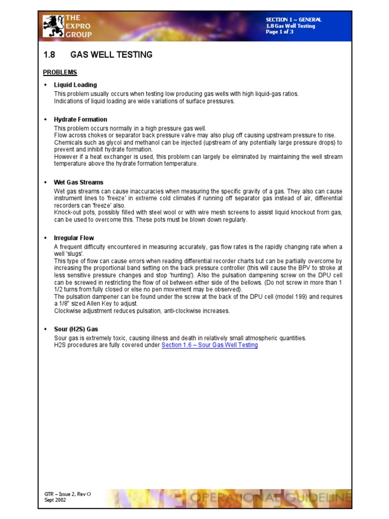 Gas Well Testing Procedures Guide | PDF | Flow Measurement | Gases