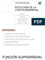 Fisiopatologia de La Disfuncion Suprarrenal