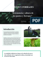 Pastos y Forrajes