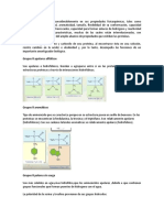 Punto 1 Bioquimica