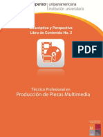 Descriptiva y Perspectiva 2